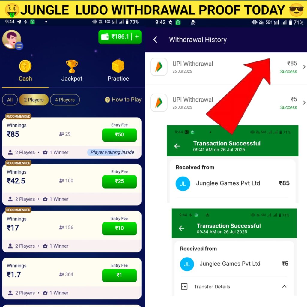 JUNGLEE LUDO APK